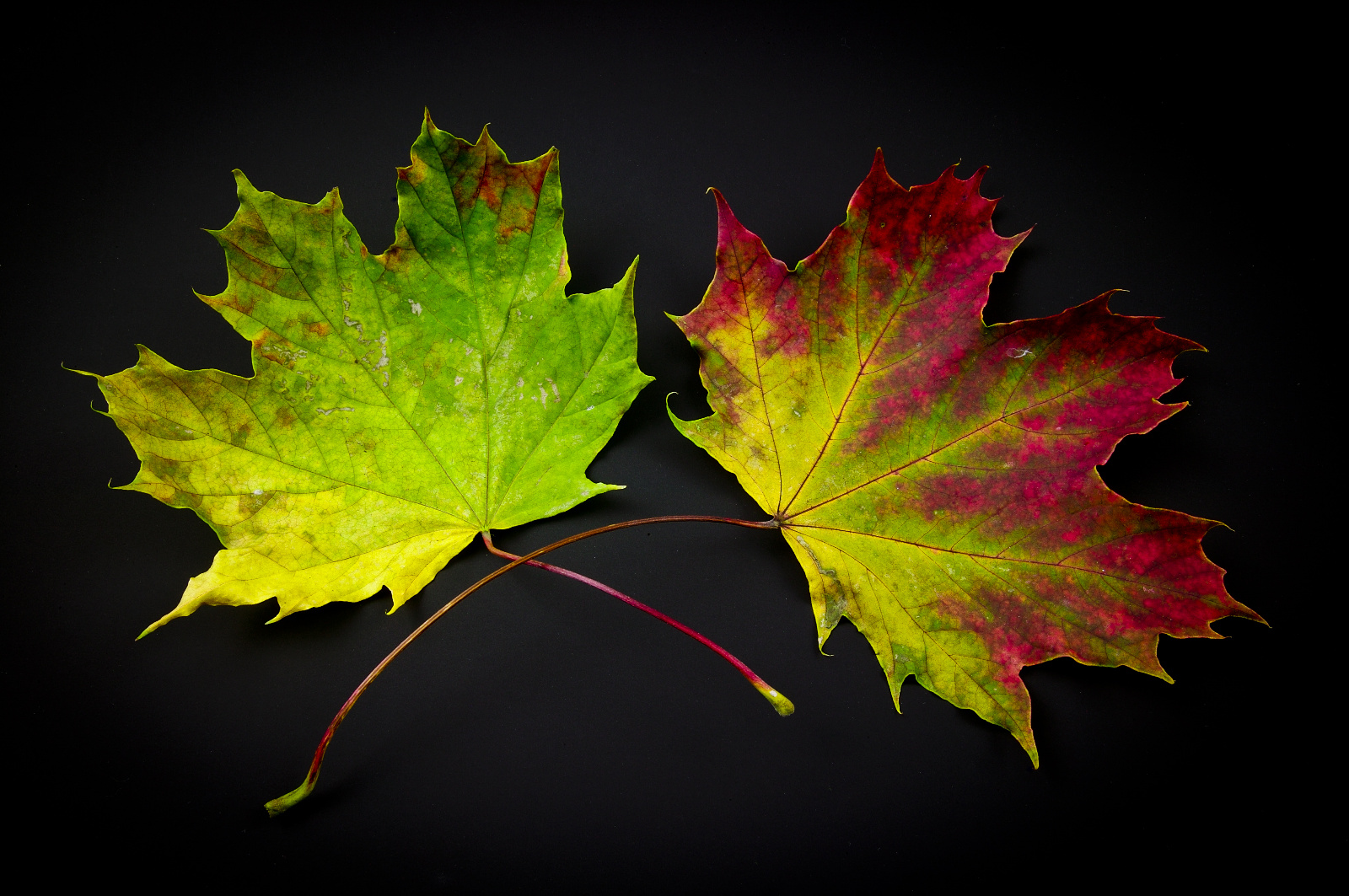 20DU5342 (17 von 74)